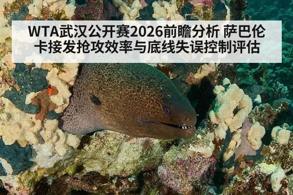 WTA武汉公开赛2026前瞻分析 萨巴伦卡接发抢攻效率与底线失误控制评估