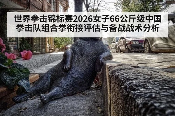 世界拳击锦标赛2026女子66公斤级中国拳击队组合拳衔接评估与备战战术分析